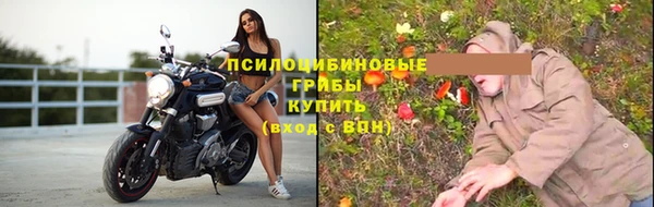 ПСИЛОЦИБИНОВЫЕ ГРИБЫ Белоозёрский